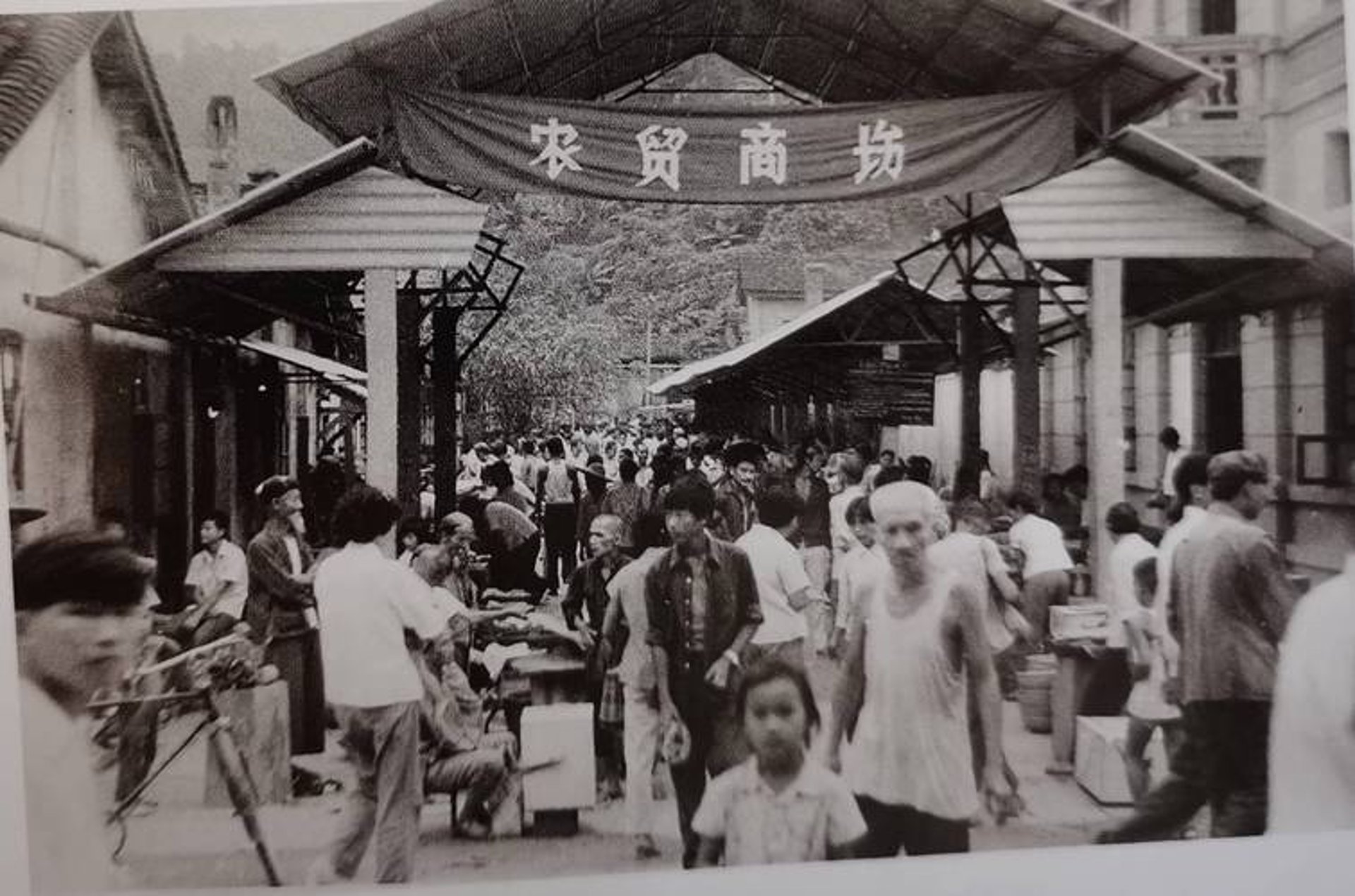 李晓明经销部